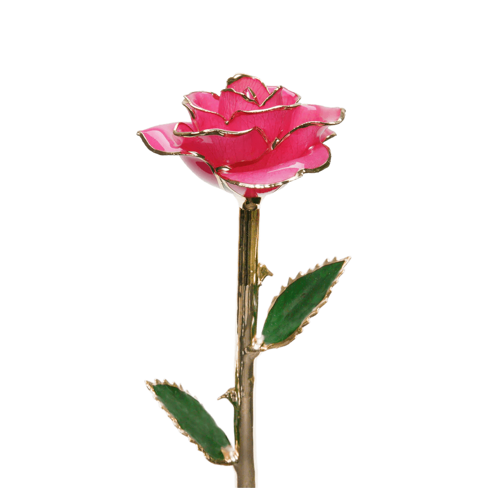 24k Gold Dipped Rose-KOLAICH™