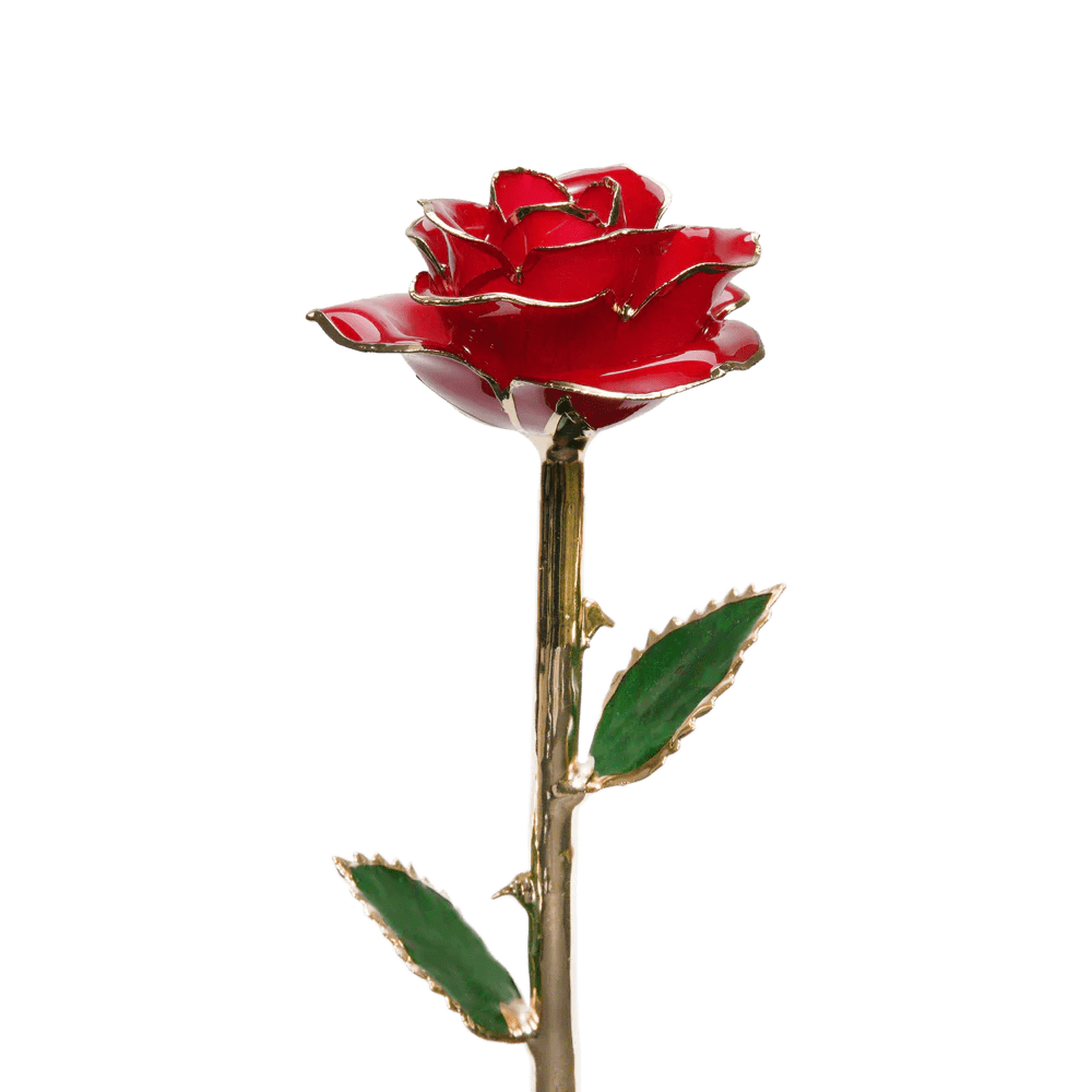 24k Gold Dipped Rose-KOLAICH™