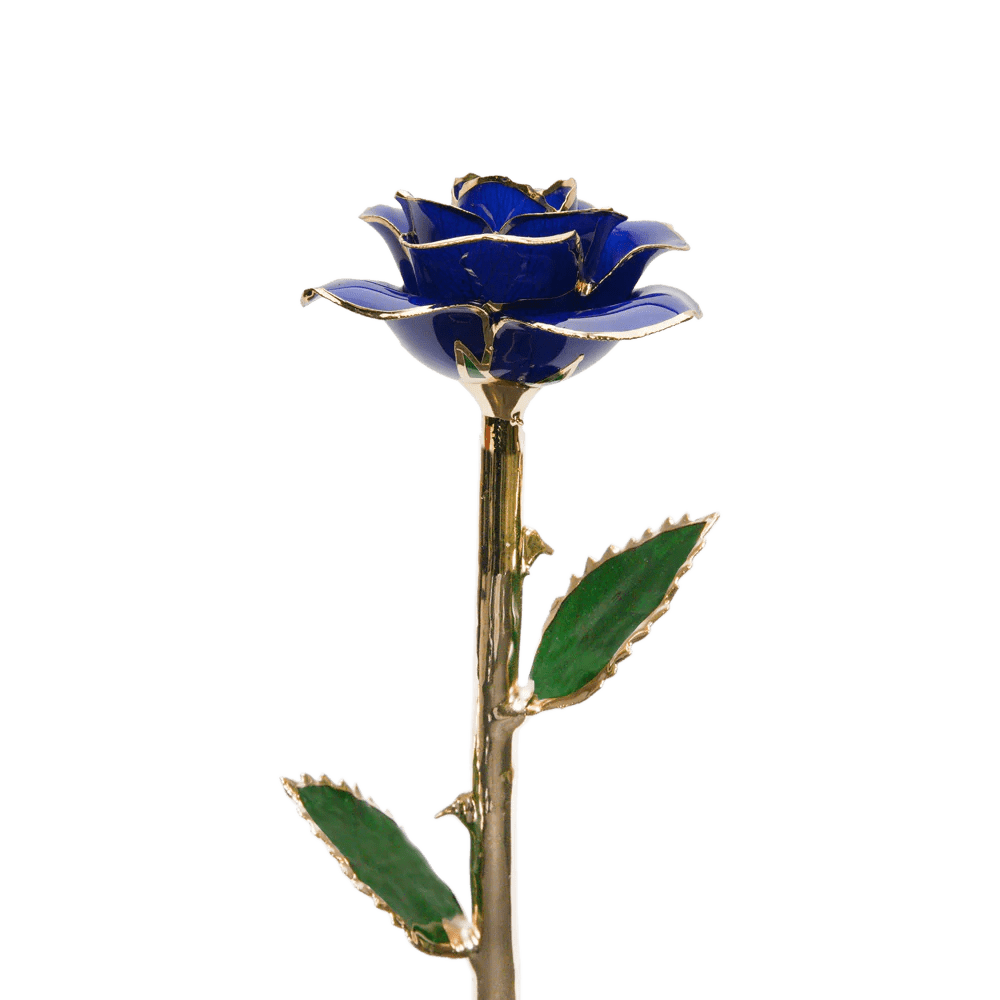 24k Gold Dipped Rose-KOLAICH™