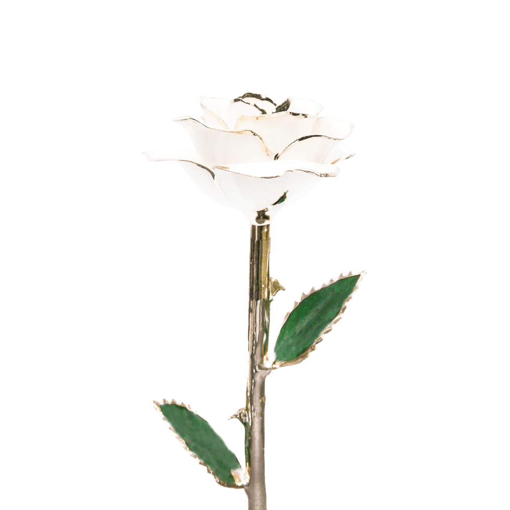 24k Gold Dipped Rose-KOLAICH™