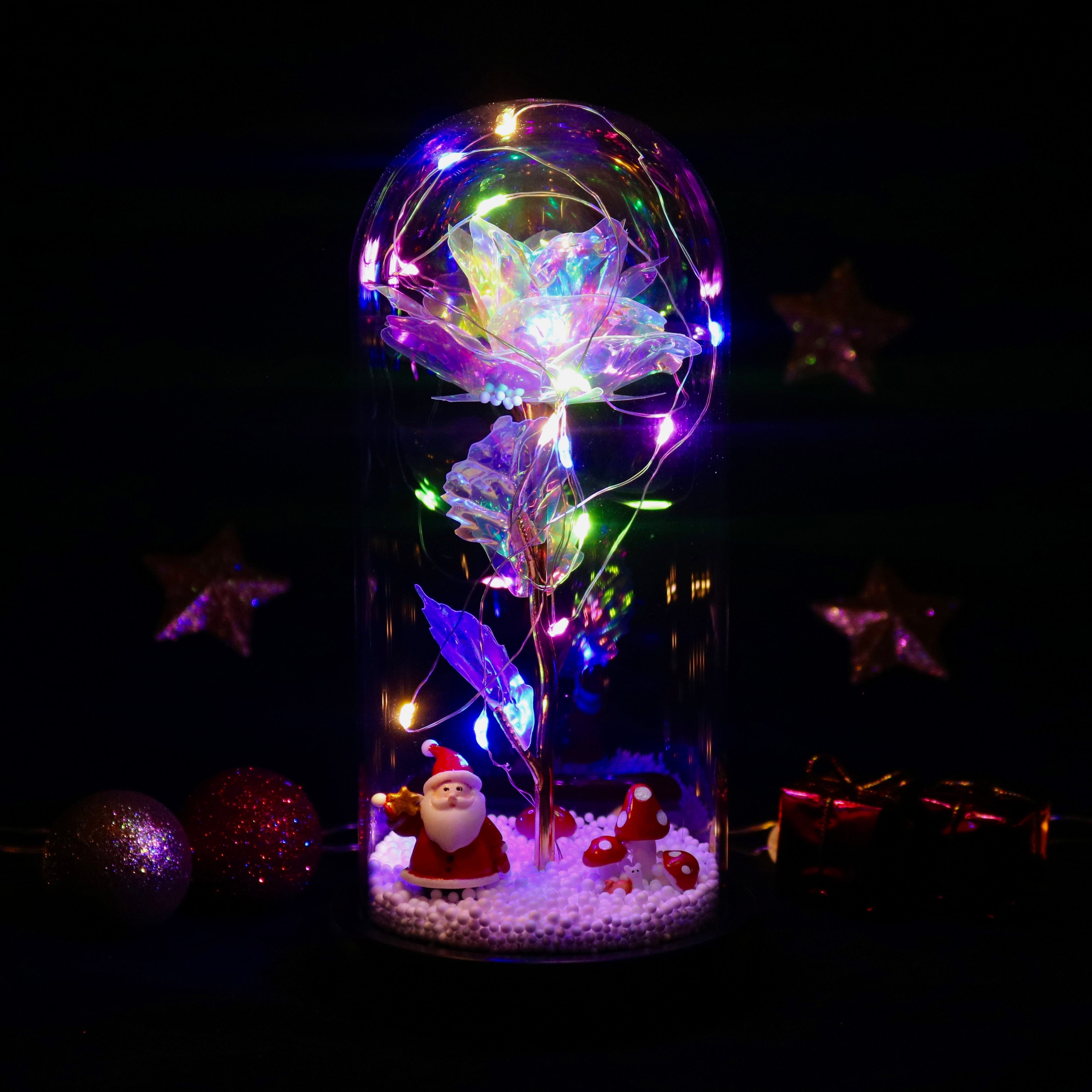 Enchanted Santa Claus Rose-KOLAICH™