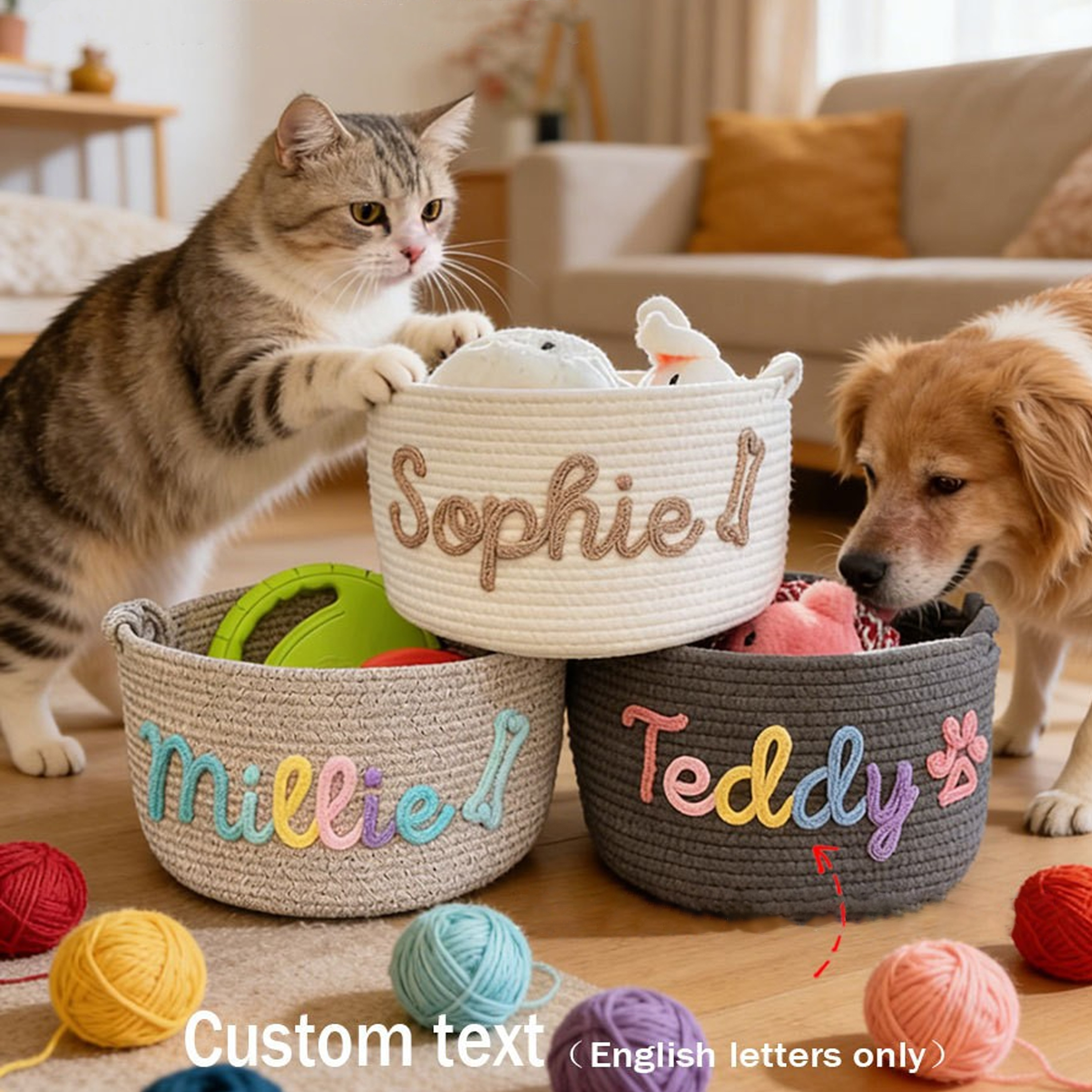Customized English Alphabet Storage Boxes For Cats And Dogs