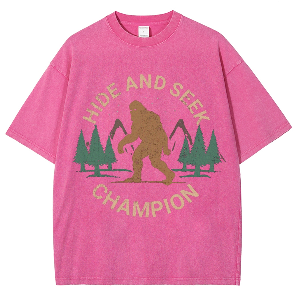 Hide And Seek Champion Vintage Snowflake Washed T-Shirt