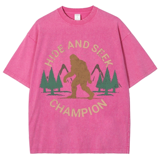 Hide And Seek Champion Vintage Snowflake Washed T-Shirt
