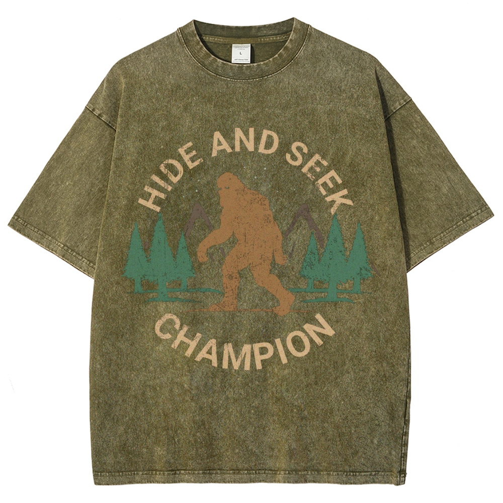 Hide And Seek Champion Vintage Snowflake Washed T-Shirt
