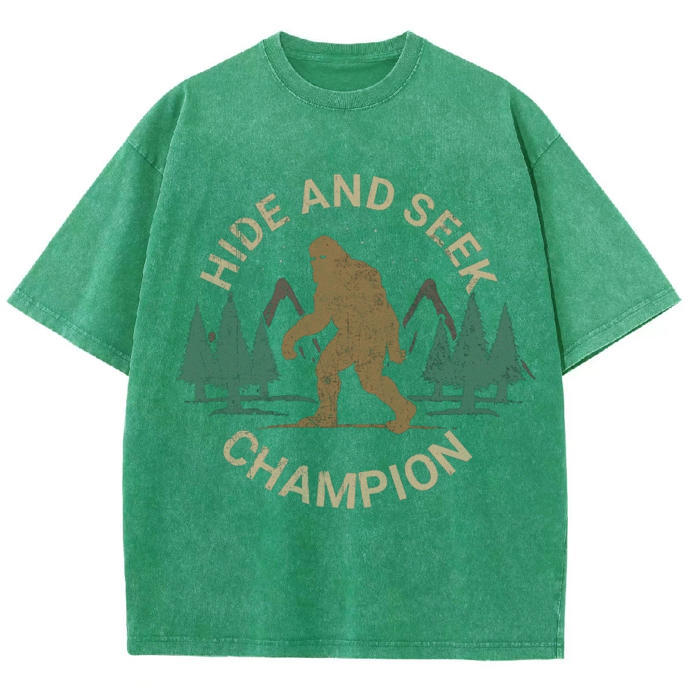 Hide And Seek Champion Vintage Snowflake Washed T-Shirt