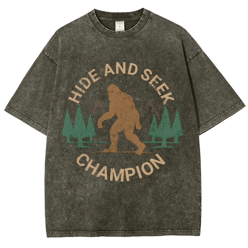 Hide And Seek Champion Vintage Snowflake Washed T-Shirt