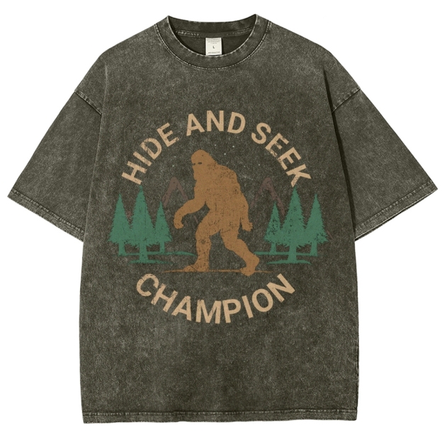 Hide And Seek Champion Vintage Snowflake Washed T-Shirt
