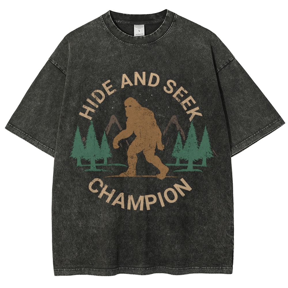Hide And Seek Champion Vintage Snowflake Washed T-Shirt