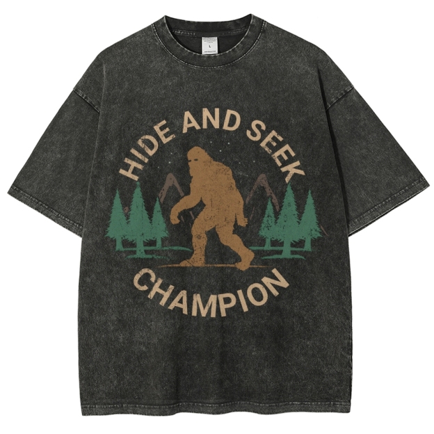 Hide And Seek Champion Vintage Snowflake Washed T-Shirt