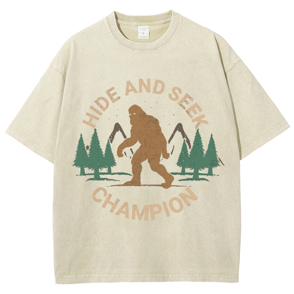 Hide And Seek Champion Vintage Snowflake Washed T-Shirt