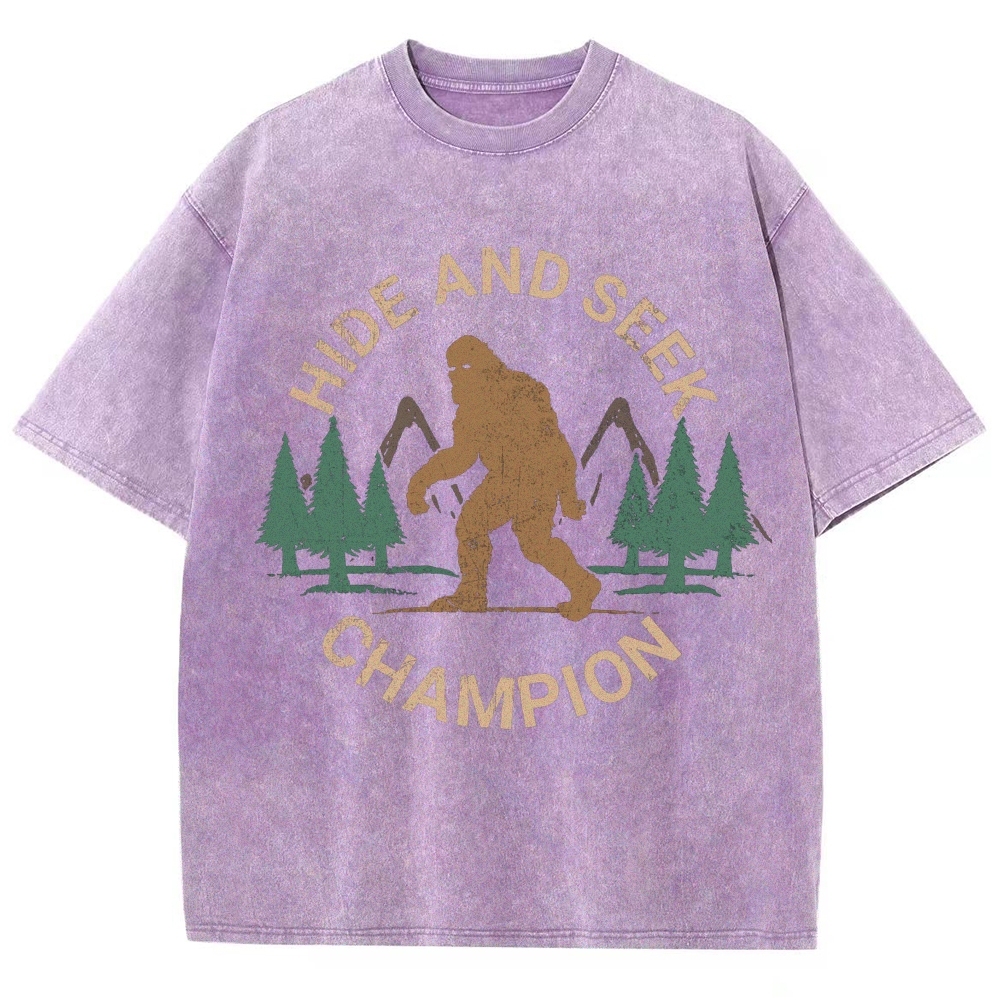 Hide And Seek Champion Vintage Snowflake Washed T-Shirt
