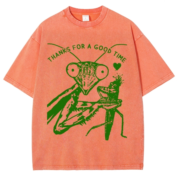Thanks For A Good Time Vintage Snowflake Washed T-Shirt