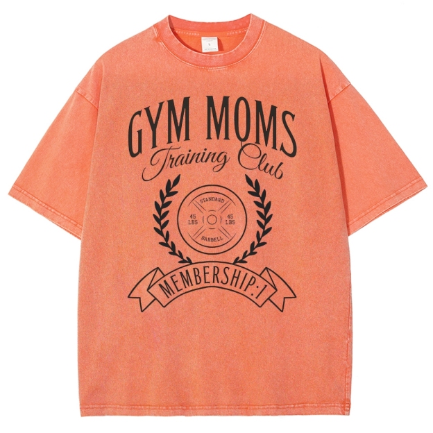 Vintage Snowflake Washed T-Shirt 2406003554
