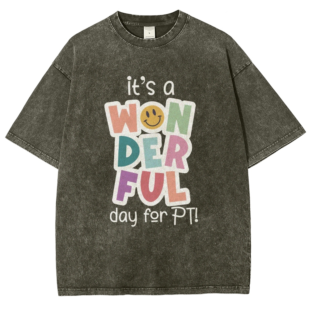 It’s A Wonderful Day For PT Unisex Fit Washed T-Shirt