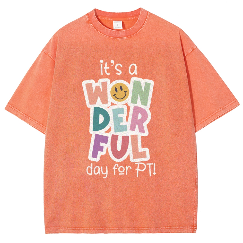 It’s A Wonderful Day For PT Unisex Fit Washed T-Shirt