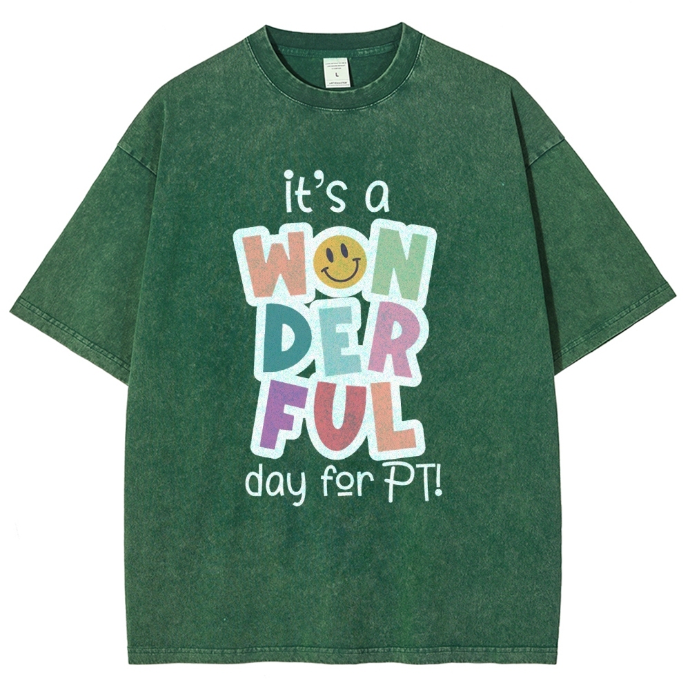 It’s A Wonderful Day For PT Unisex Fit Washed T-Shirt