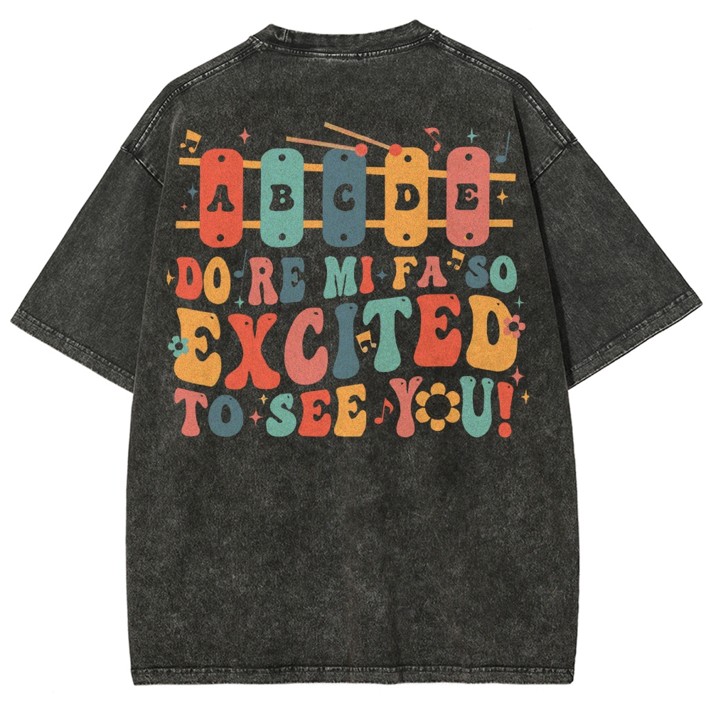 Music Teacher Unisex Fit Washed T-Shirt