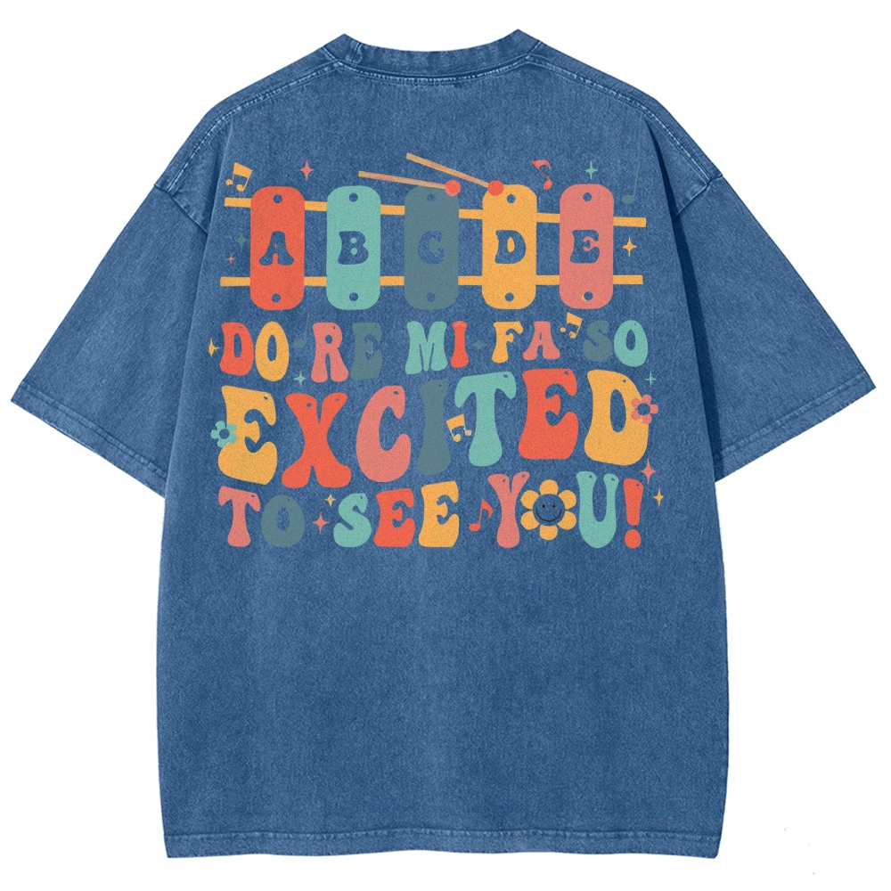 Music Teacher Unisex Fit Washed T-Shirt