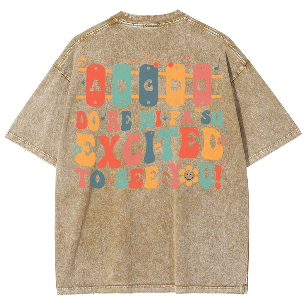 Music Teacher Unisex Fit Washed T-Shirt
