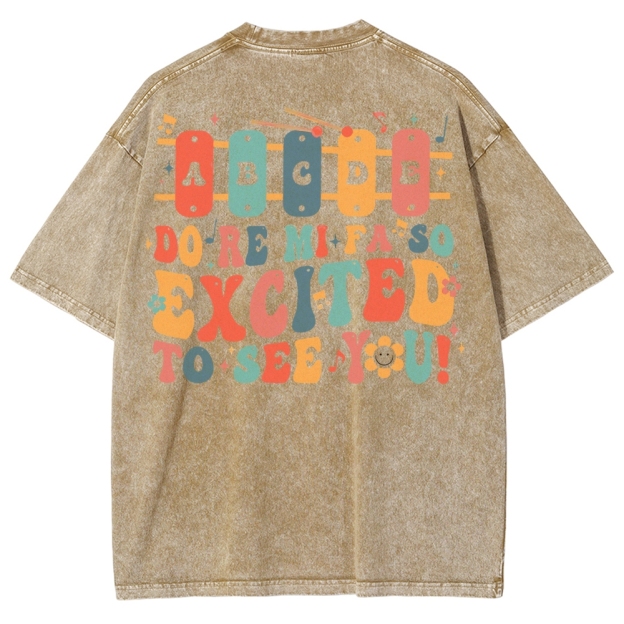 Music Teacher Unisex Fit Washed T-Shirt