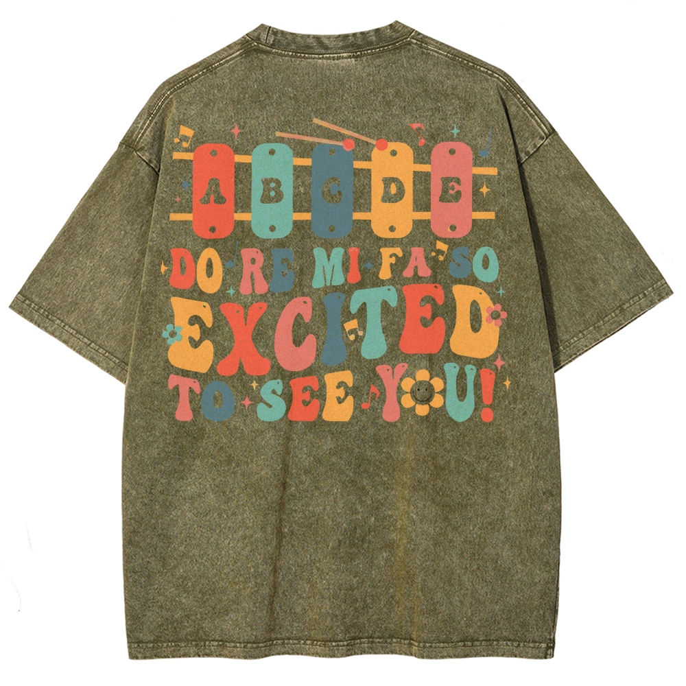 Music Teacher Unisex Fit Washed T-Shirt
