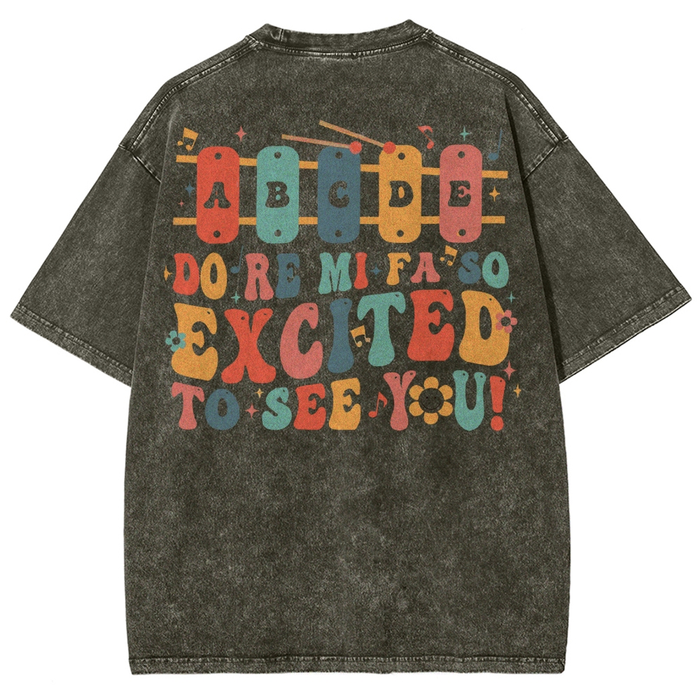Music Teacher Unisex Fit Washed T-Shirt