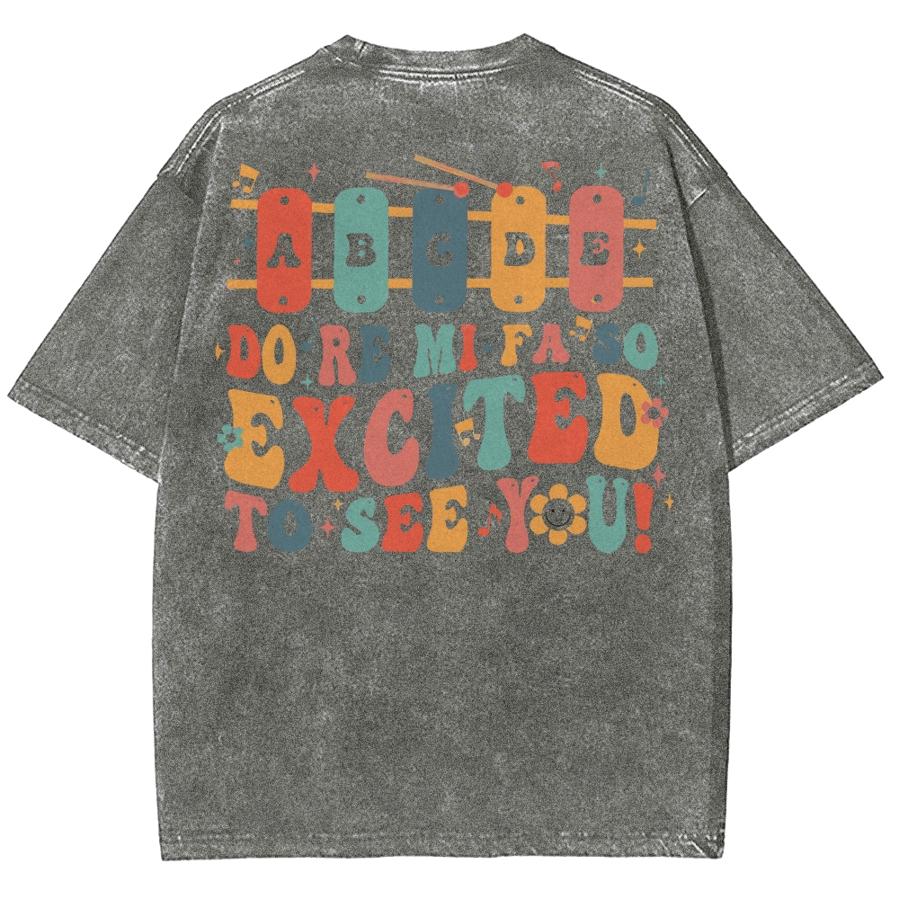 Music Teacher Unisex Fit Washed T-Shirt