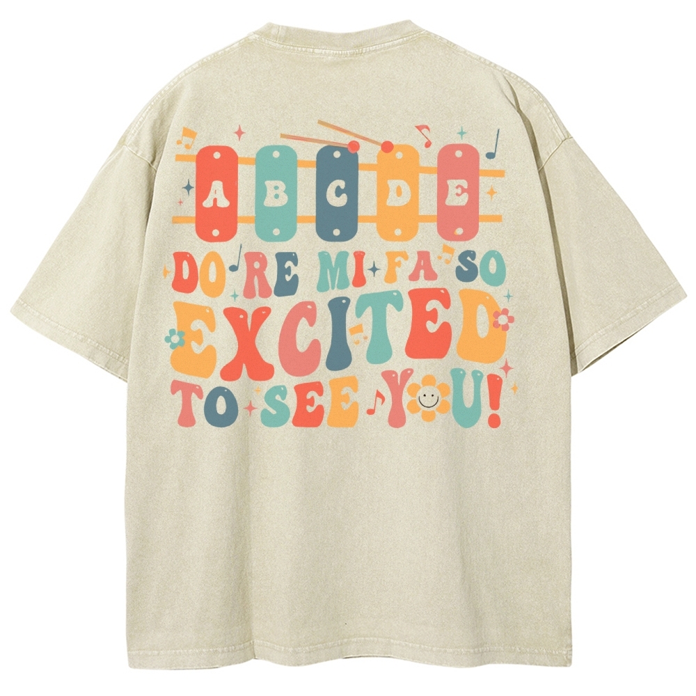 Music Teacher Unisex Fit Washed T-Shirt