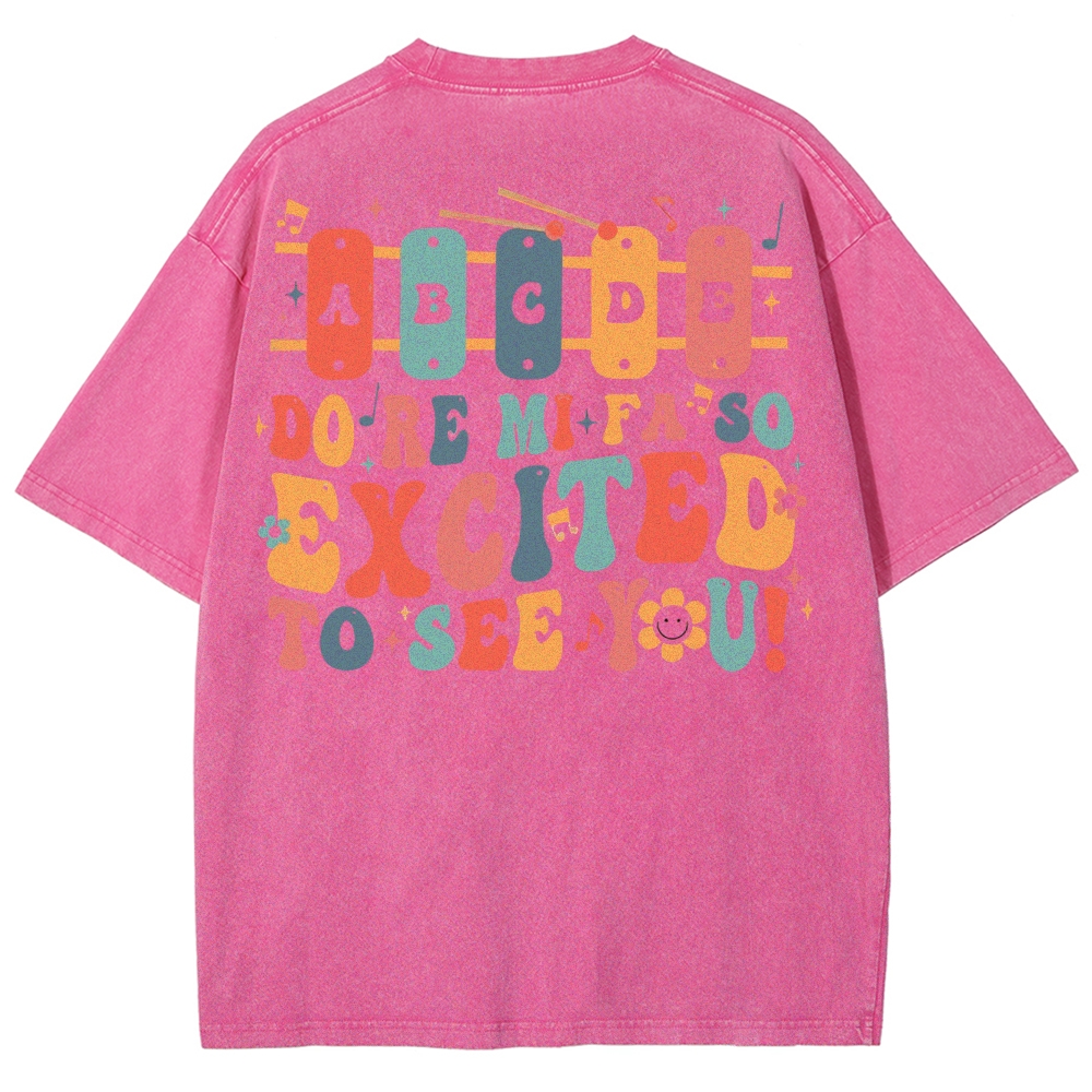 Music Teacher Unisex Fit Washed T-Shirt