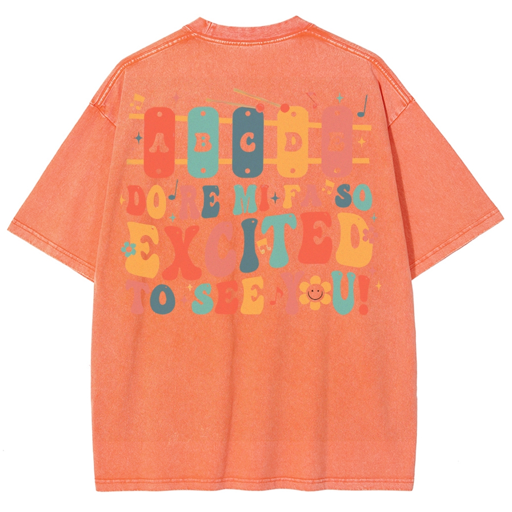 Music Teacher Unisex Fit Washed T-Shirt