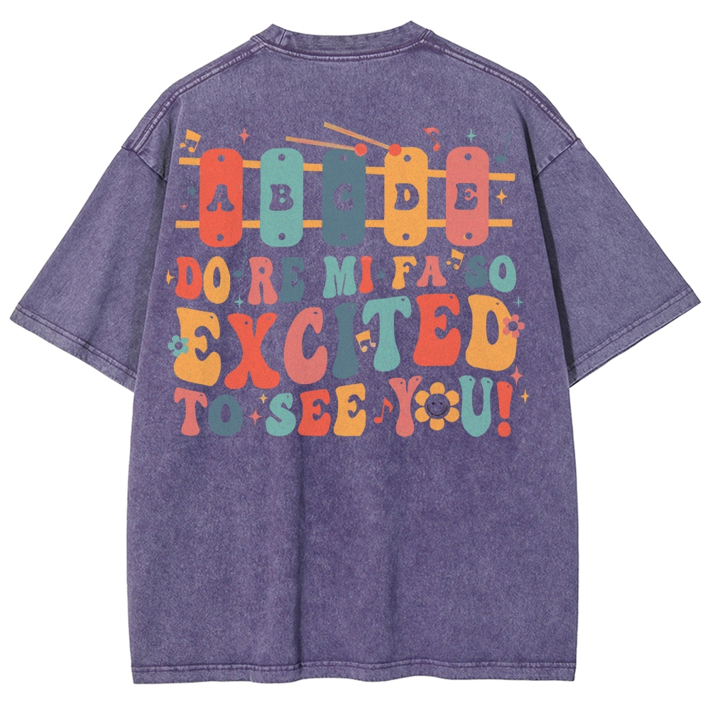 Music Teacher Unisex Fit Washed T-Shirt