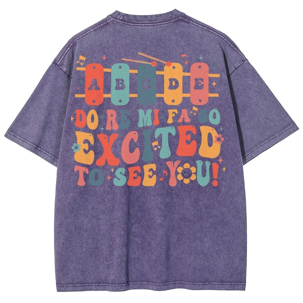 Music Teacher Unisex Fit Washed T-Shirt