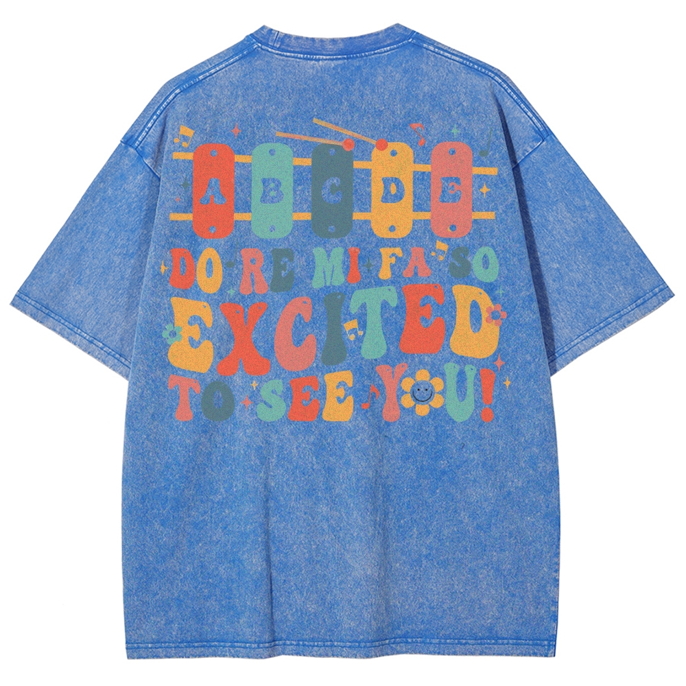 Music Teacher Unisex Fit Washed T-Shirt