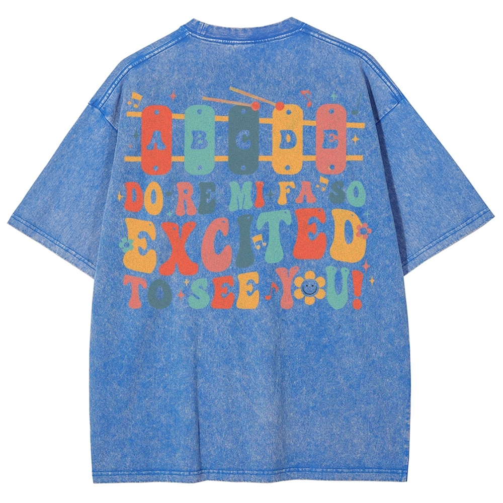 Music Teacher Unisex Fit Washed T-Shirt