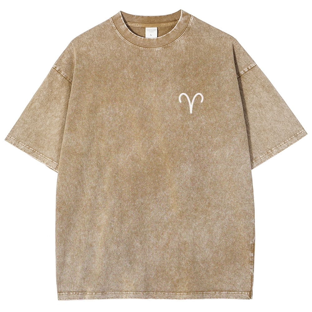 Aries Unisex Fit Washed T-Shirt Customscool