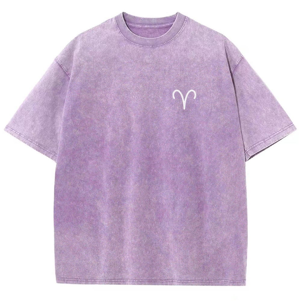 Aries Unisex Fit Washed T-Shirt Customscool