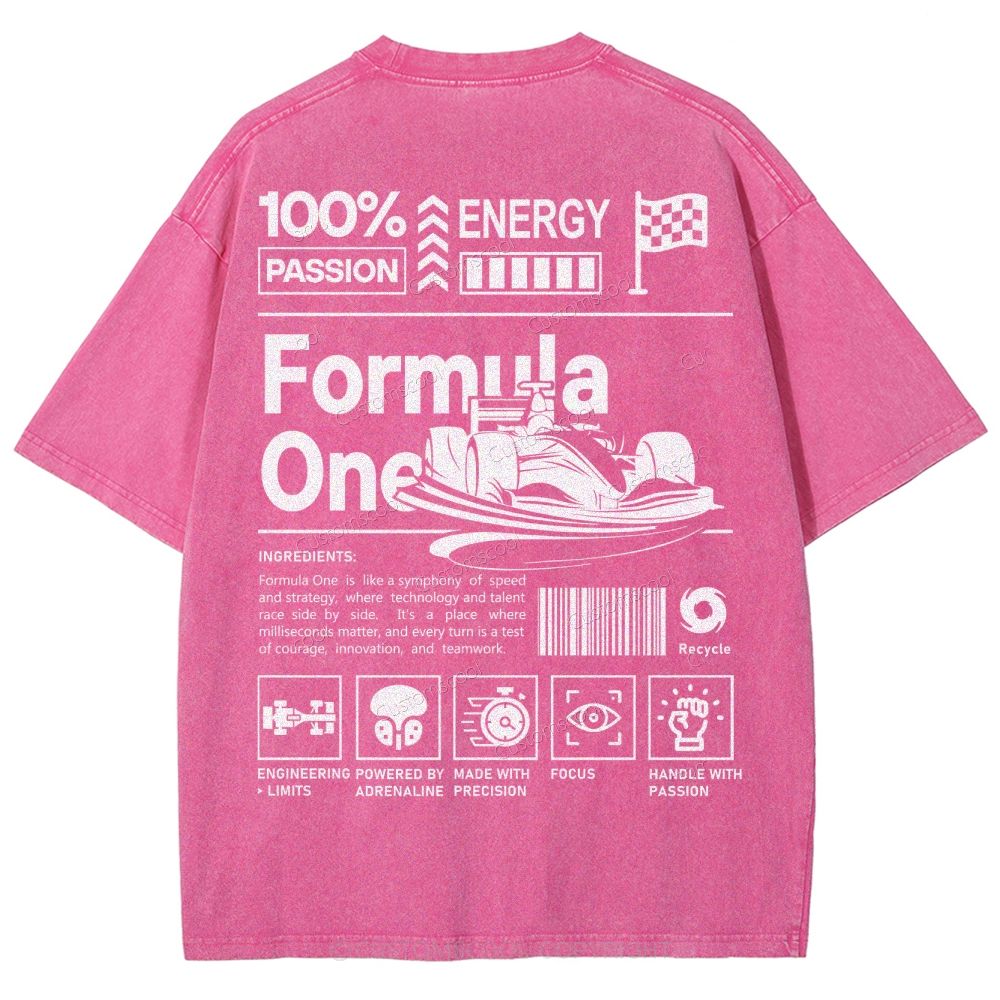 Formula One F1 Unisex Fit Washed T-Shirt Customscool