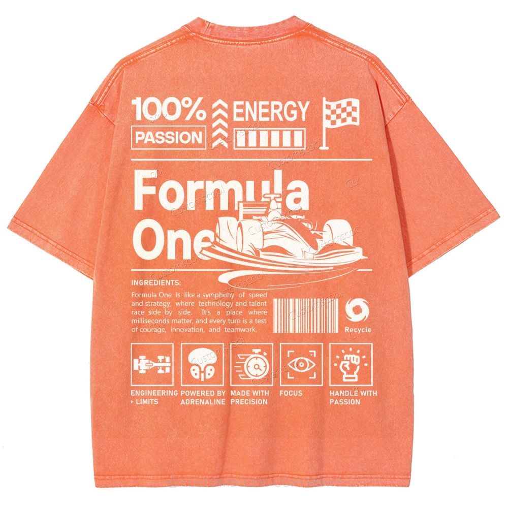 Formula One F1 Unisex Fit Washed T-Shirt Customscool