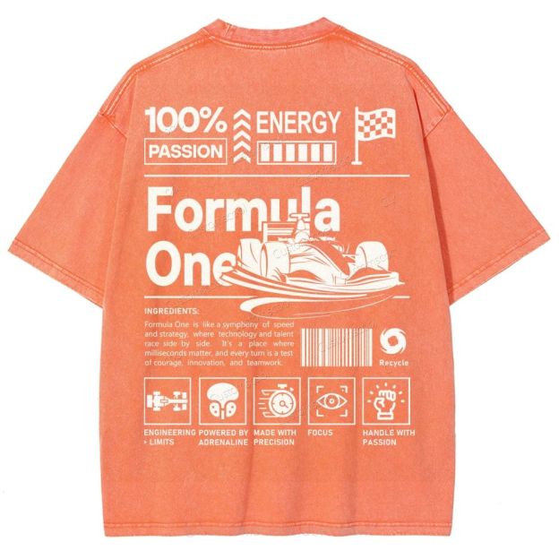 Formula One F1 Unisex Fit Washed T-Shirt Customscool