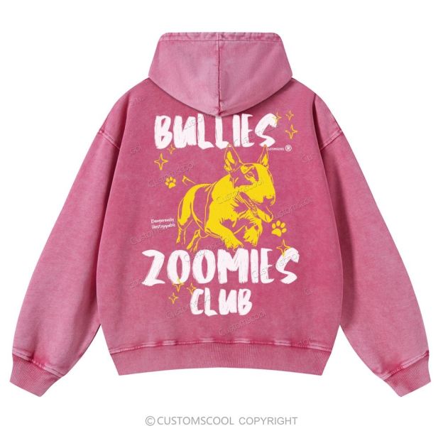 Bullies Zoomies Club Casual Washed Hoodie