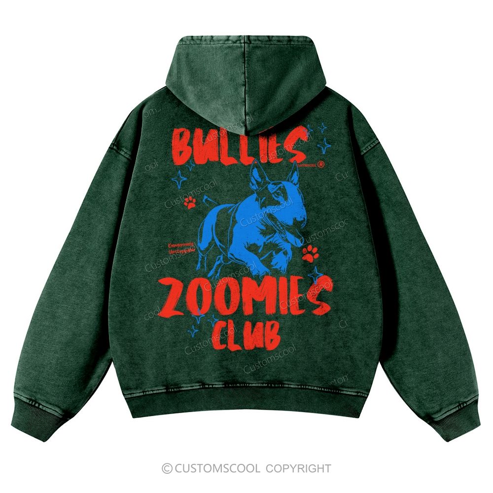 Bullies Zoomies Club Casual Washed Hoodie