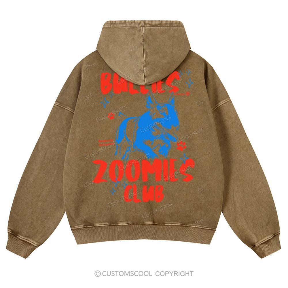 Bullies Zoomies Club Casual Washed Hoodie