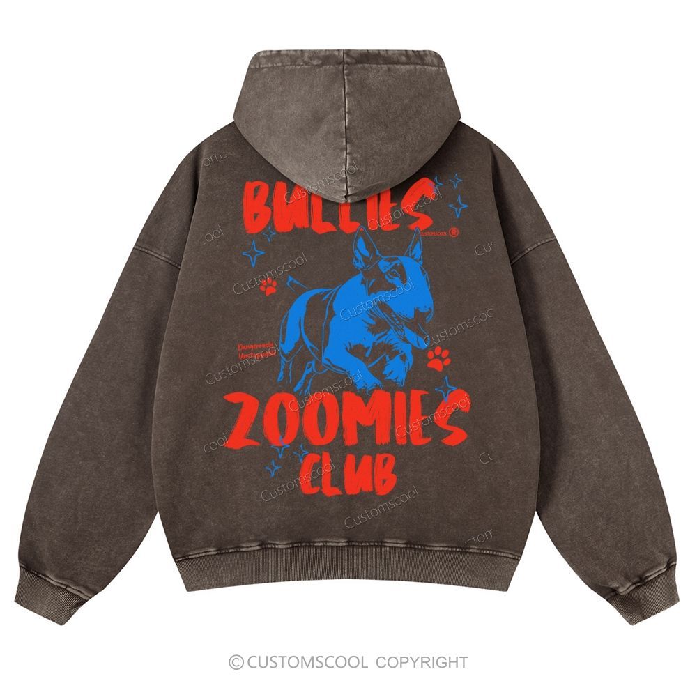 Bullies Zoomies Club Casual Washed Hoodie