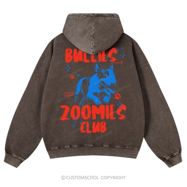 Bullies Zoomies Club Casual Washed Hoodie