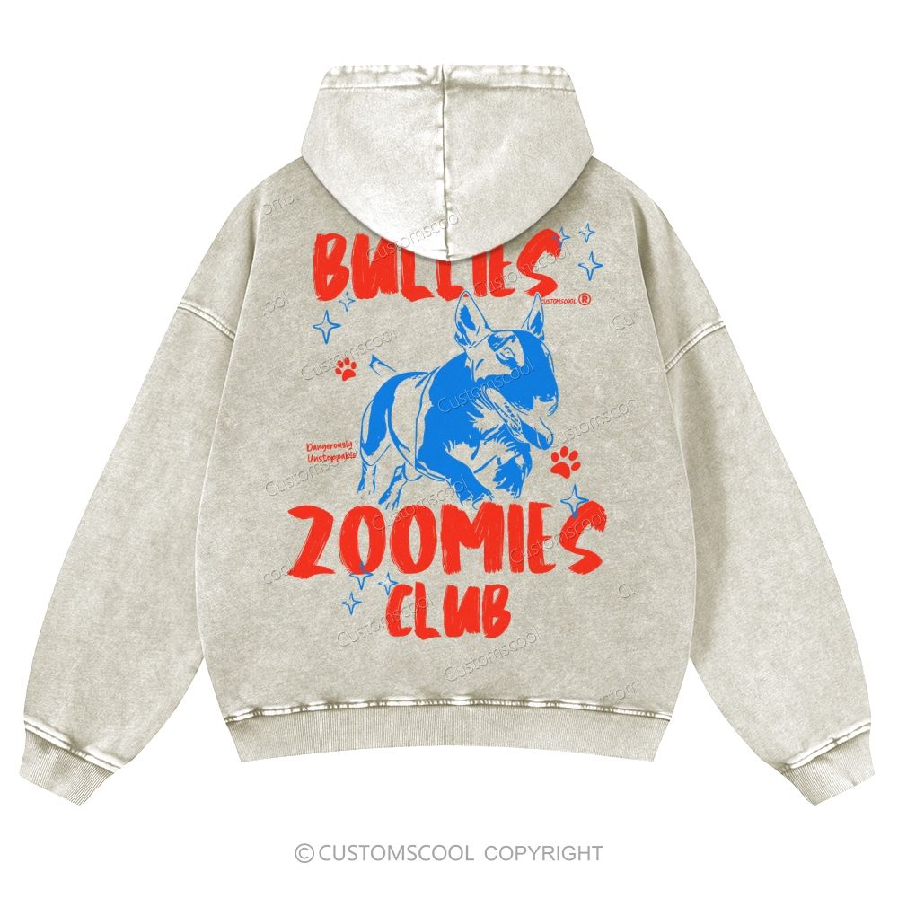 Bullies Zoomies Club Casual Washed Hoodie