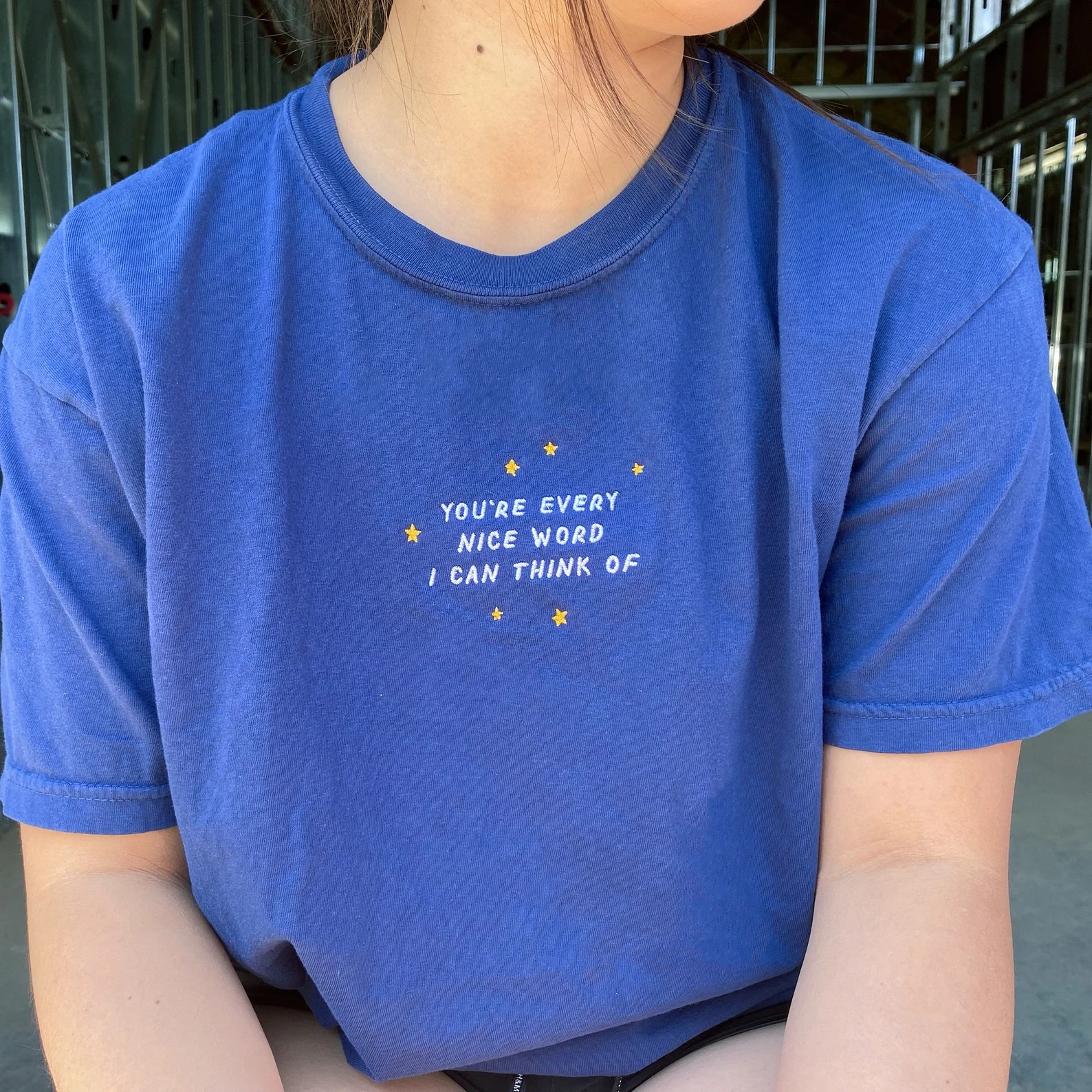 You‘re Every Nice Word I Can Think Of Embroidered Unisex Fit Washed T-Shirt