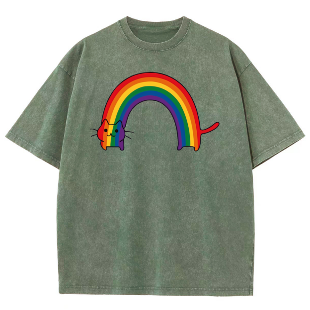 Rainbow Cat Washed Oversized T-Shirt