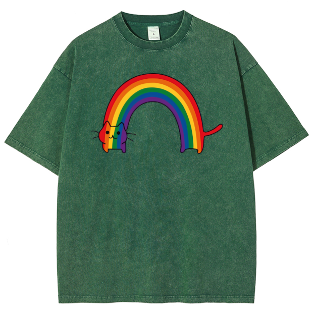 Rainbow Cat Washed Oversized T-Shirt