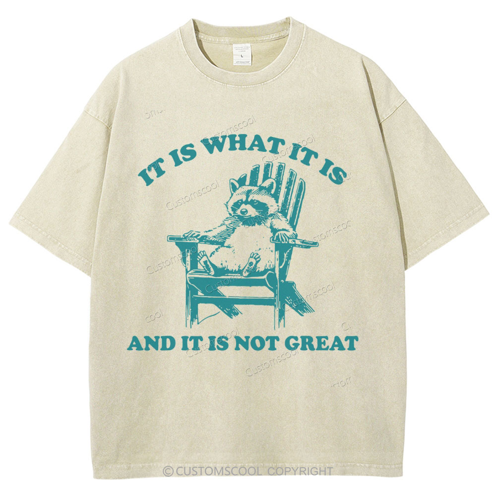 It Is What It Is Unisex Fit Washed T-Shirt Customscool